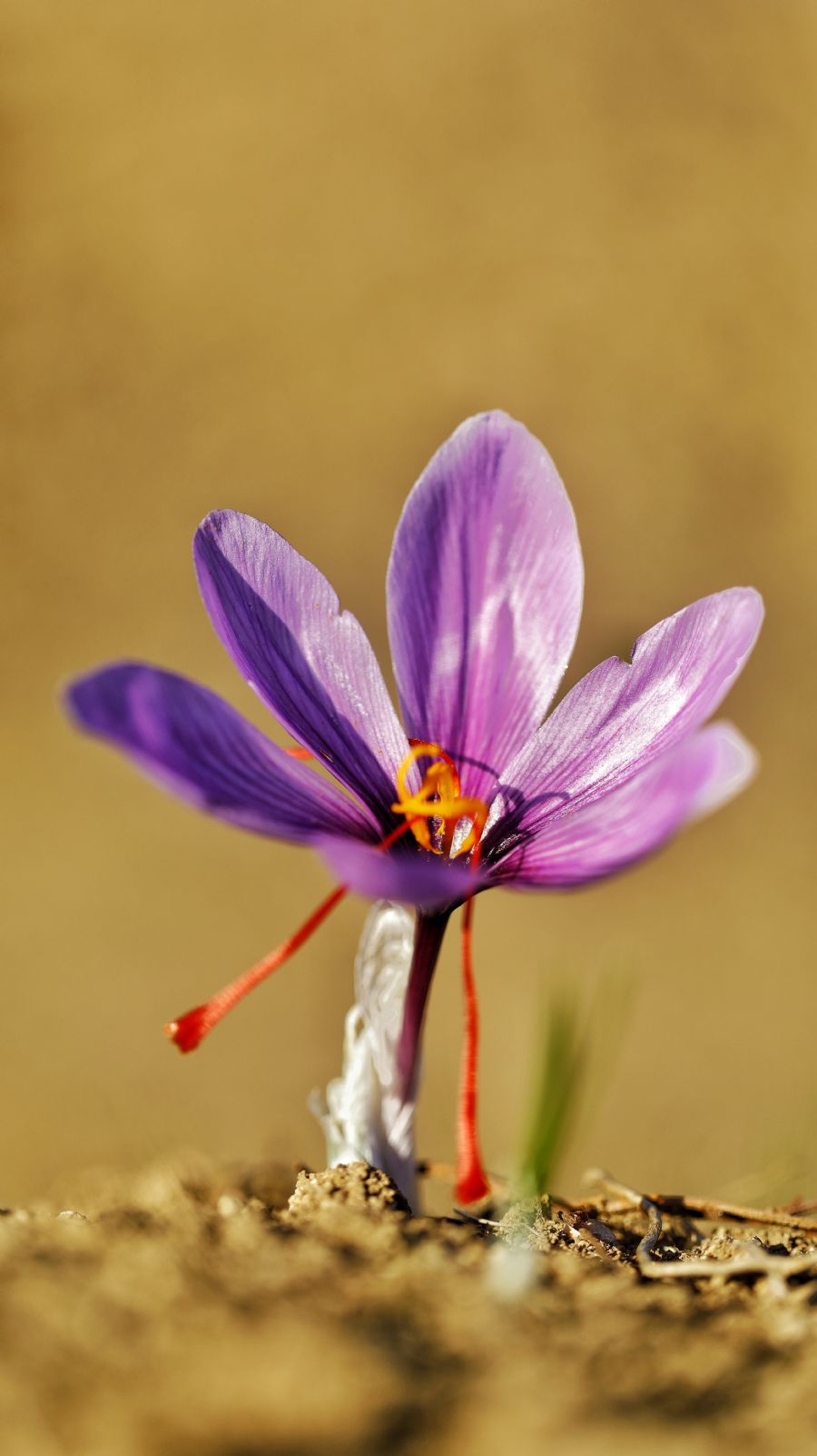 ali_baykala_20201122__3388177753.jpeg