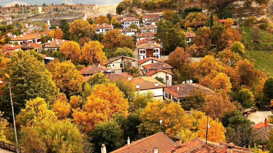 ali_baykala_20250609__26273745308.jpg